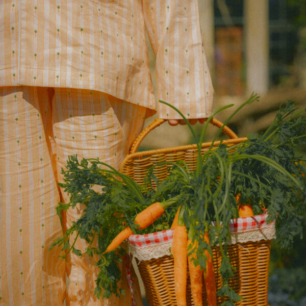 Carrot Motif
